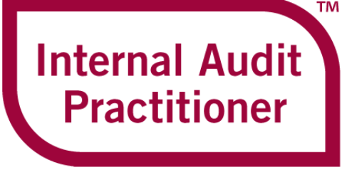Auditor Interno Practicante: una nueva primera parada en su camino hacia el éxito