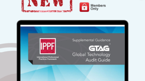 Global Technology Audit Guide: Auditing Business Applications