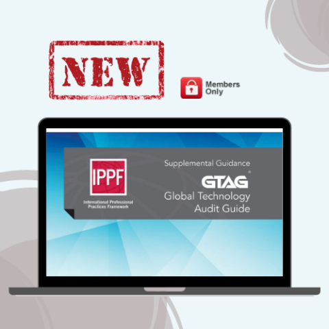 Global Technology Audit Guide: Auditing Business Applications