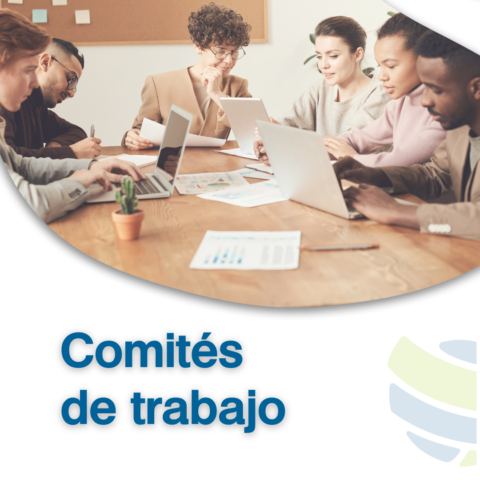 Comité Sostenibilidad: 20 de mayo