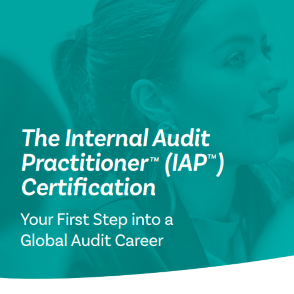 IAP – Internal Audit Practitioner